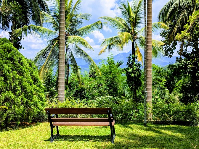 IMG_20180923_120840-EFFECTS